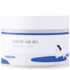 Round Lab - Birch Juice Moisturizing Pad - Kojące Płatki do Twarzy - 80szt