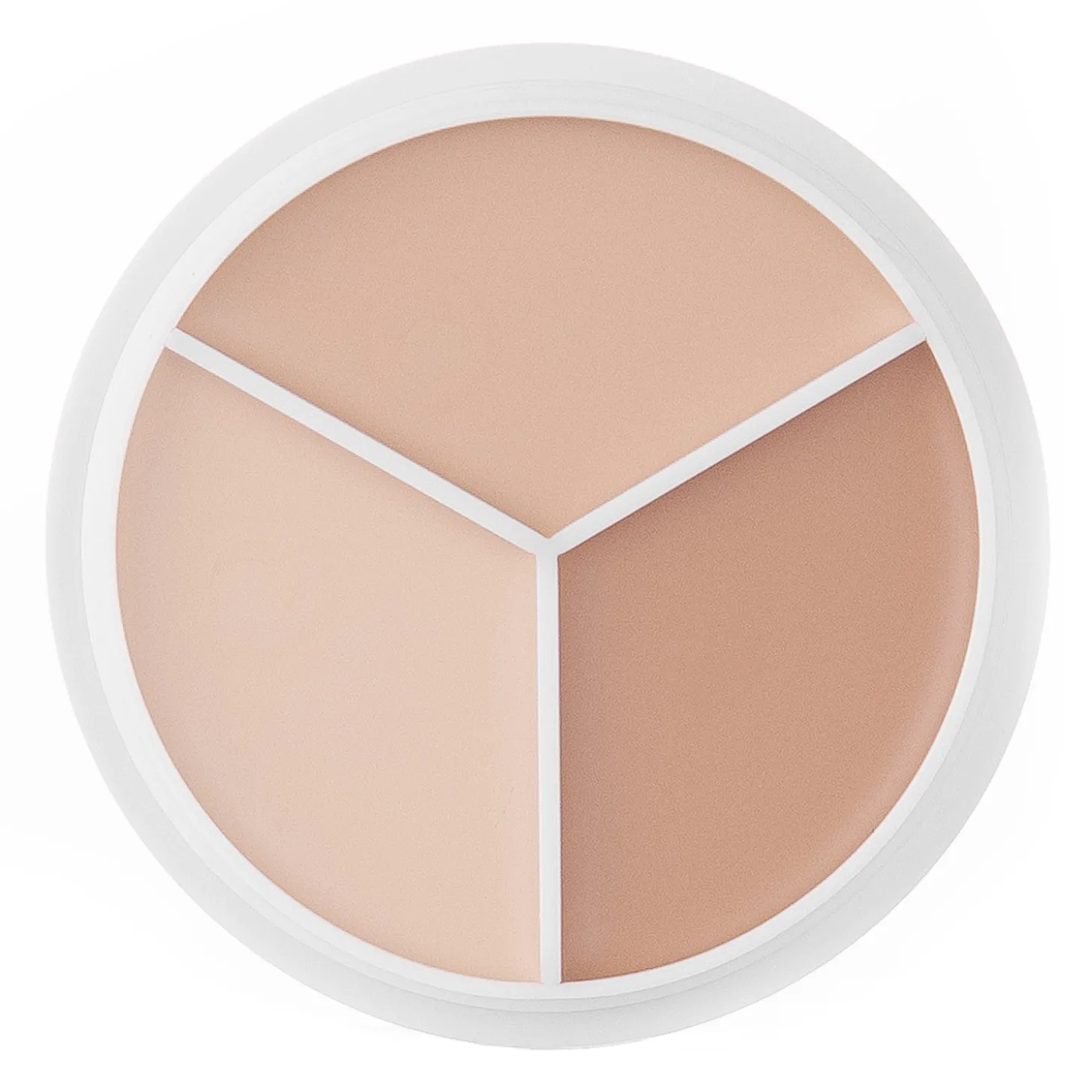 TFIT - Cover Up Pro Concealer Palette - Paleta Korektorów do Twarzy - Neutral - 10g